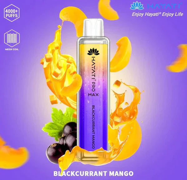 Hayati Pro Max 4000 Blackcurrant Mango Flavour